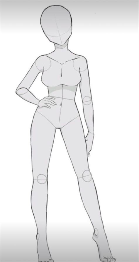 female anatomy drawing|female drawing base full body.